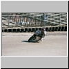 Rolll2_003.JPG